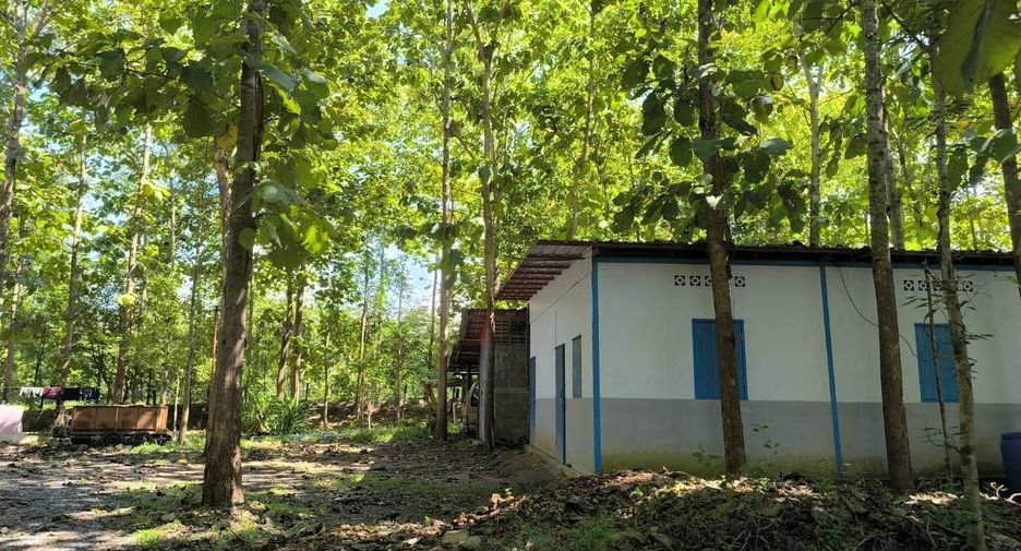 For sale land in Phu Phiang, Nan