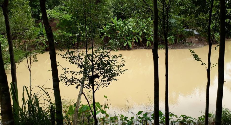 For sale land in Phu Phiang, Nan