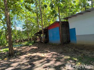 For sale land in Phu Phiang, Nan