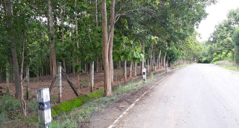 For sale land in Phu Phiang, Nan