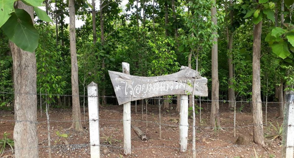 For sale land in Phu Phiang, Nan