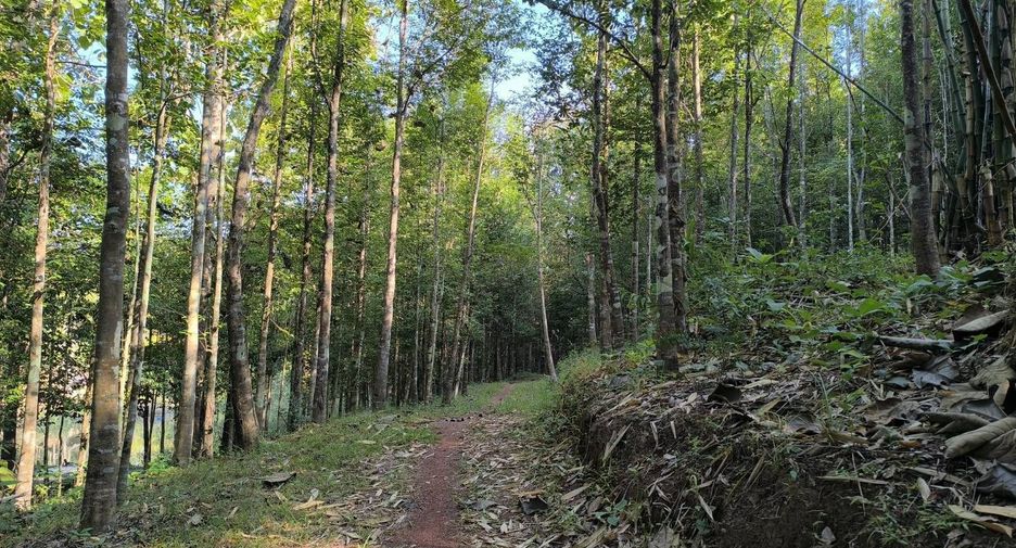For sale land in Phu Phiang, Nan