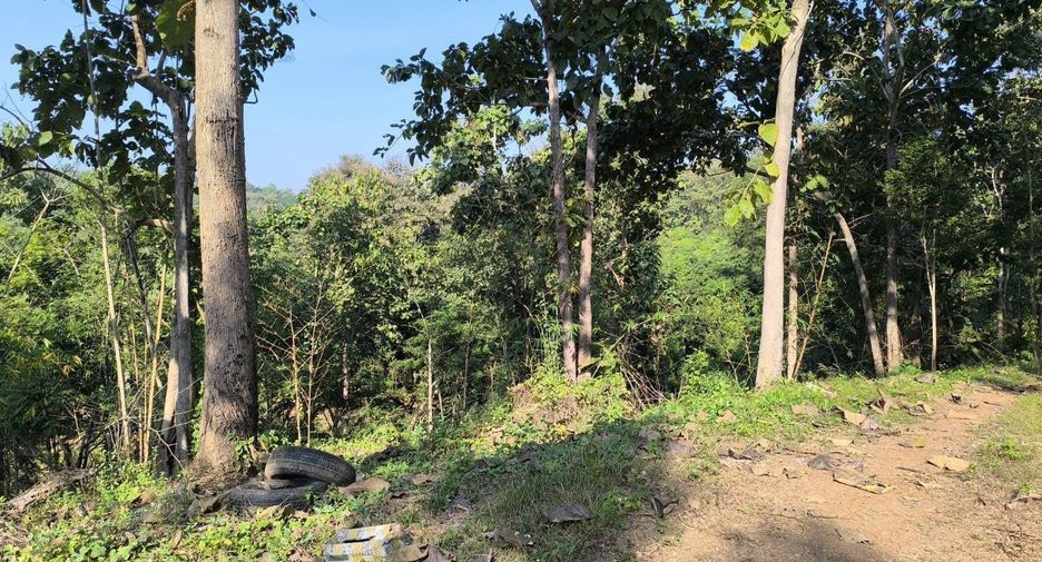 For sale land in Phu Phiang, Nan