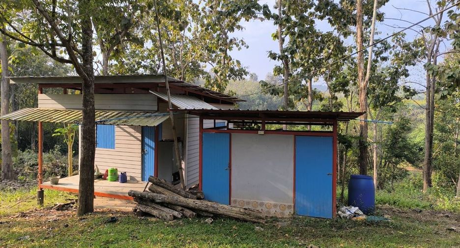 For sale land in Phu Phiang, Nan