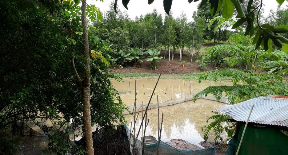 For sale land in Phu Phiang, Nan