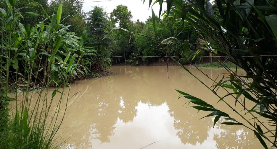 For sale land in Phu Phiang, Nan