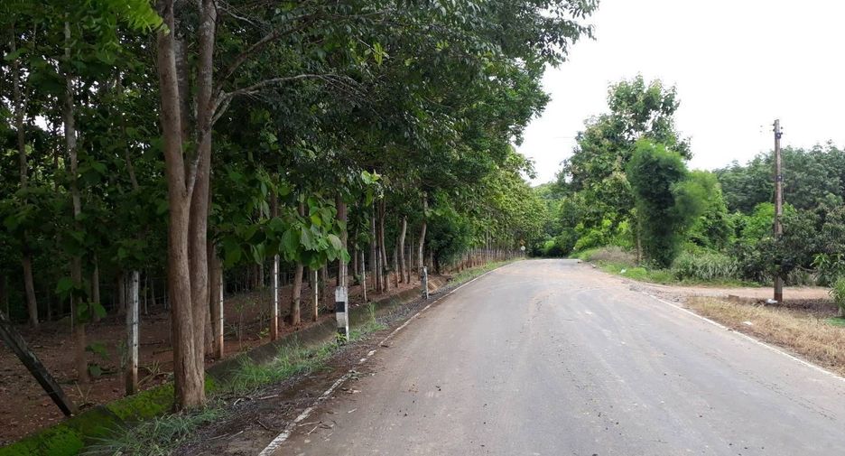 For sale land in Phu Phiang, Nan