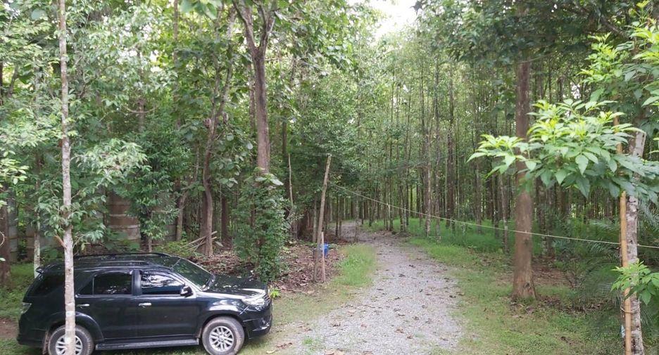 For sale land in Phu Phiang, Nan