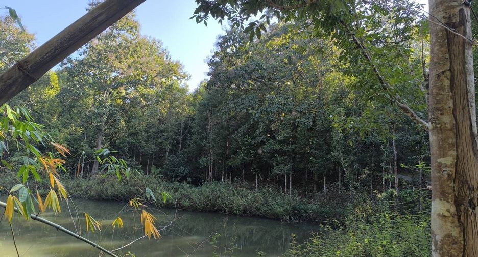 For sale land in Phu Phiang, Nan
