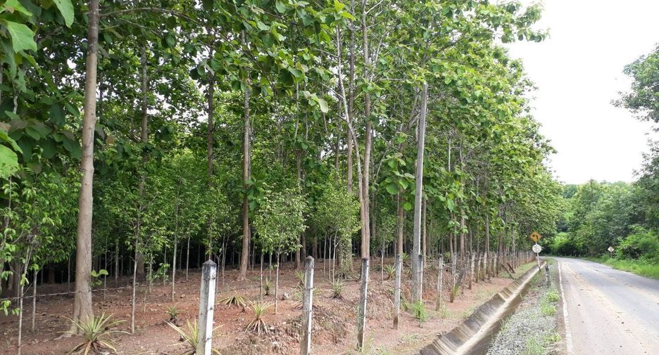 For sale land in Phu Phiang, Nan
