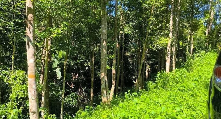 For sale land in Phu Phiang, Nan