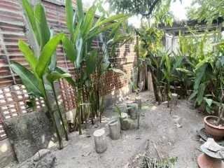 À vendre terrain à Mueang Nonthaburi, Nonthaburi