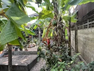 À vendre terrain à Mueang Nonthaburi, Nonthaburi