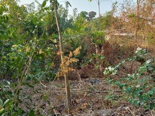 À vendre terrain à Phanom Sarakham, Chachoengsao