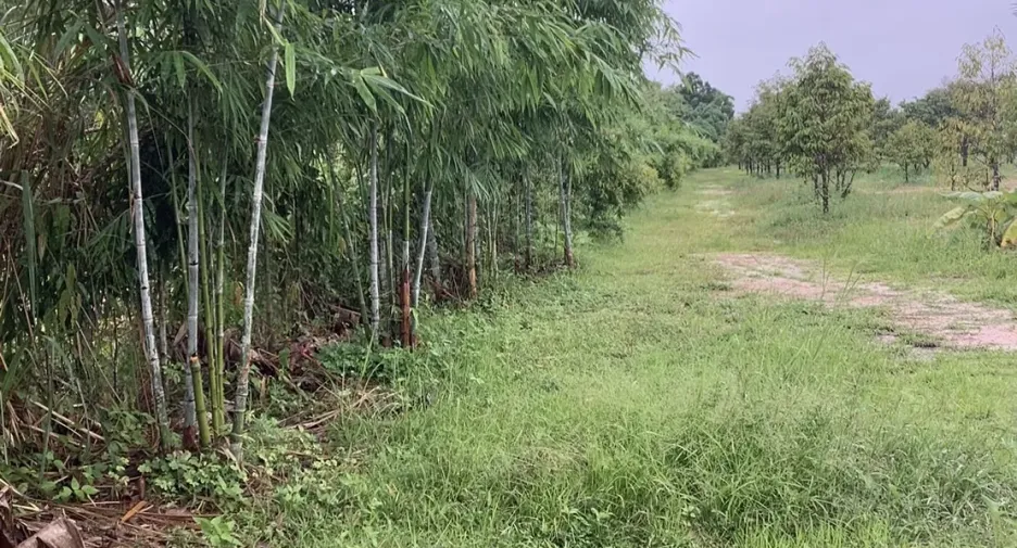 À vendre terrain à Na Yai Am, Chanthaburi