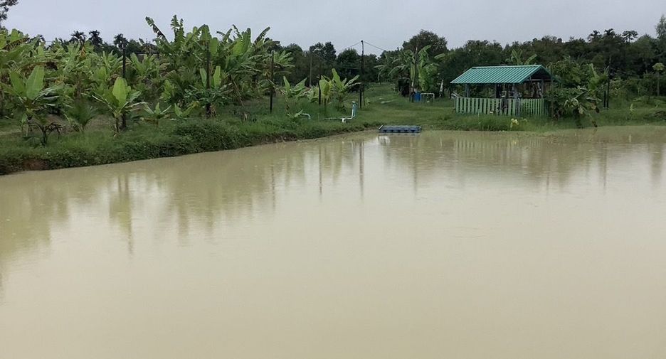 À vendre terrain à Na Yai Am, Chanthaburi