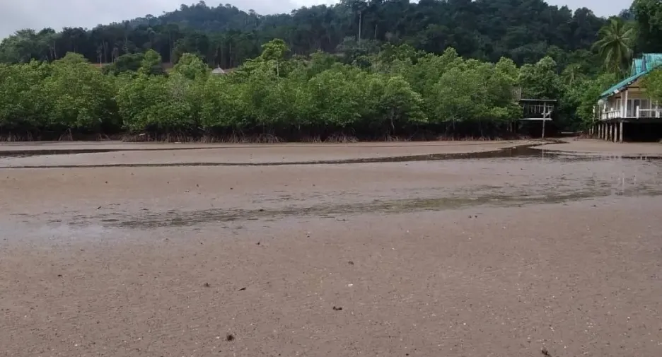 For sale land in Ko Chang, Trat