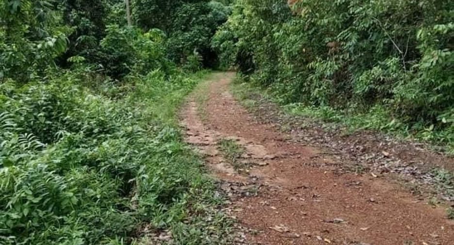 For sale land in Ko Chang, Trat