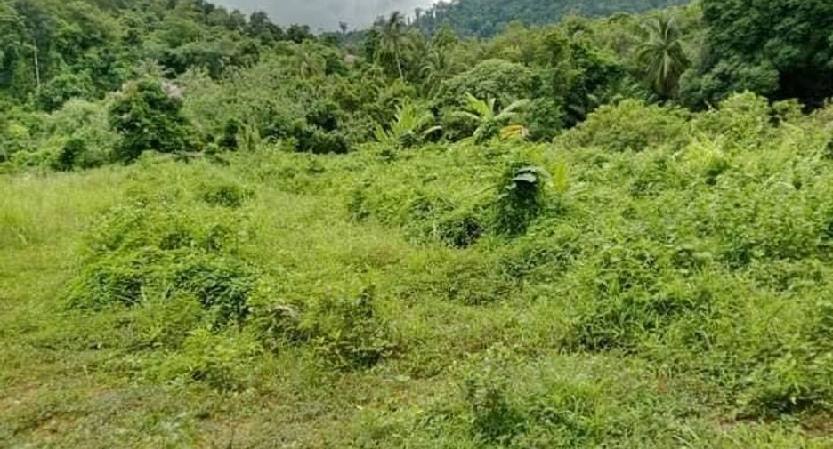 For sale land in Ko Chang, Trat