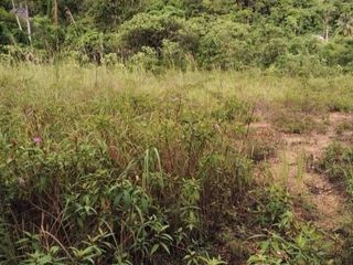 ขาย ที่ดิน ใน เกาะช้าง, ตราด