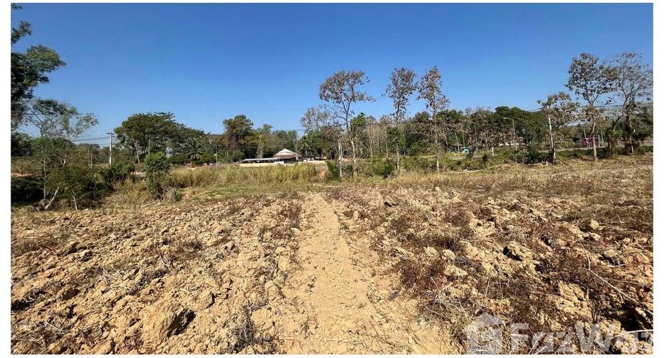 For sale land in Dan Sai, Loei