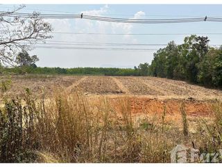 For sale land in Dan Sai, Loei