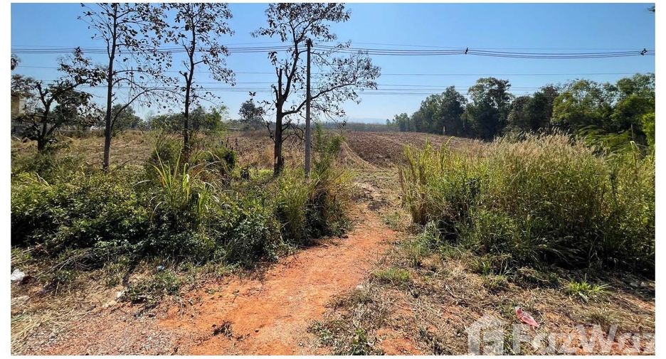 For sale land in Dan Sai, Loei