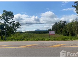 For sale land in Dan Sai, Loei