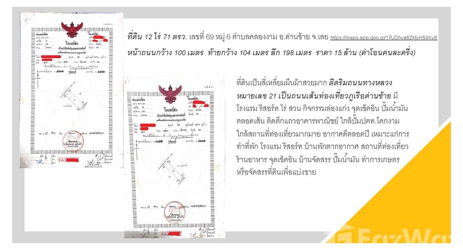 For sale land in Dan Sai, Loei