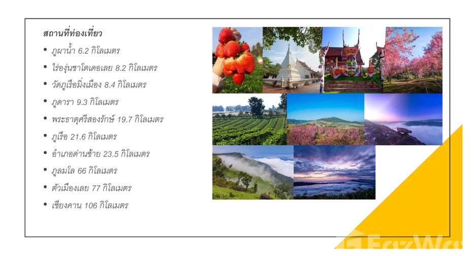 For sale land in Dan Sai, Loei