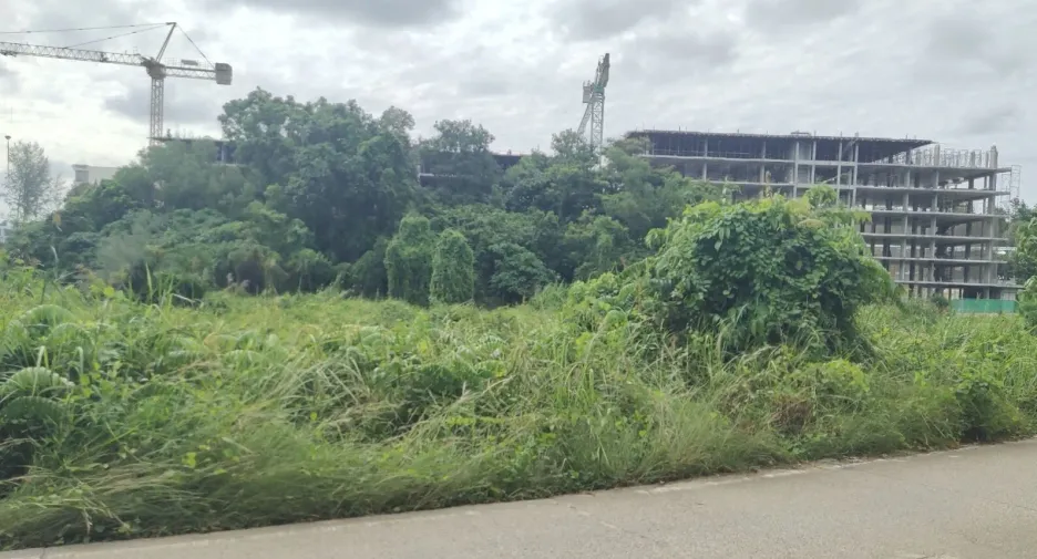 For sale land in Thalang, Phuket