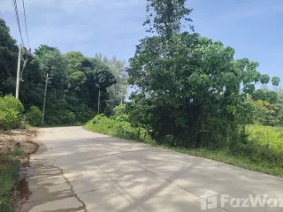 For sale land in Thalang, Phuket