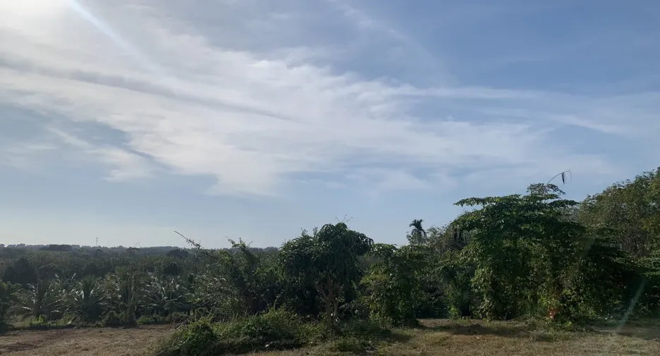 For sale 4 bedrooms house in Thalang, Phuket