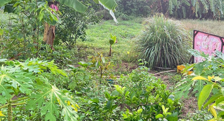 For sale 6 bedrooms townhouse in Bang Kaeo, Phatthalung