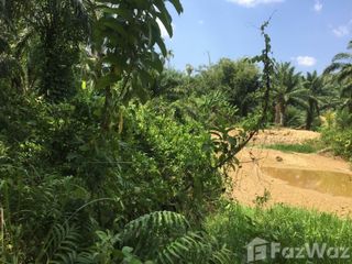 ขาย ที่ดิน ใน ละอุ่น, ระนอง
