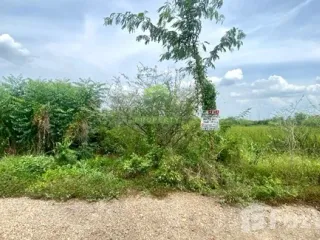 ขาย ที่ดิน ใน บ้านนา, นครนายก