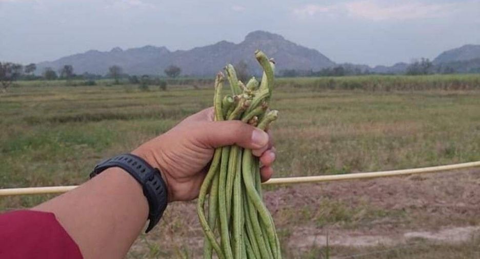 For sale 3 bedrooms house in Ban Rai, Uthai Thani