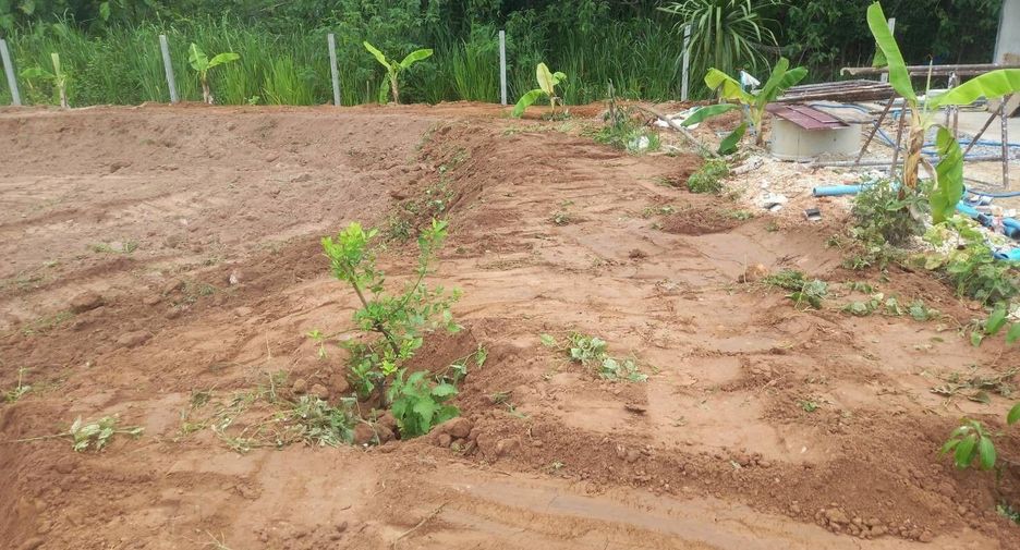 For sale 3 bedrooms house in Ban Rai, Uthai Thani