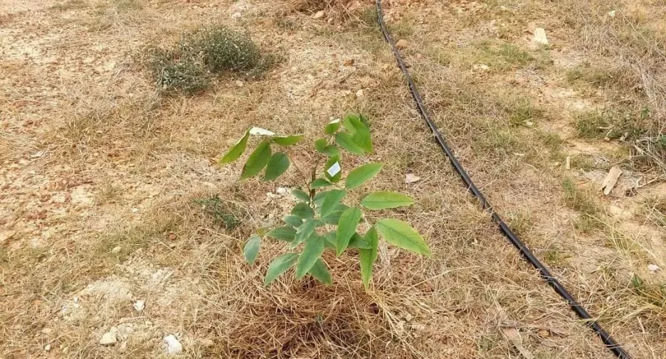 For sale 3 bedrooms house in Ban Rai, Uthai Thani