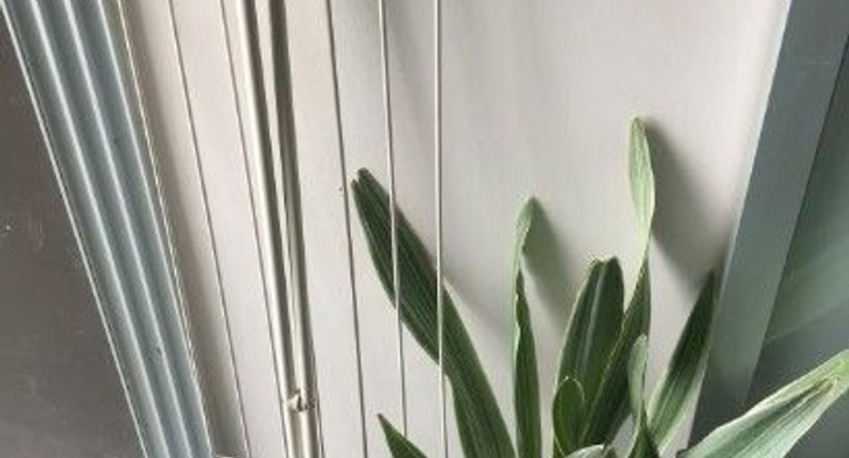 For rent 1 Beds condo in Kathu, Phuket