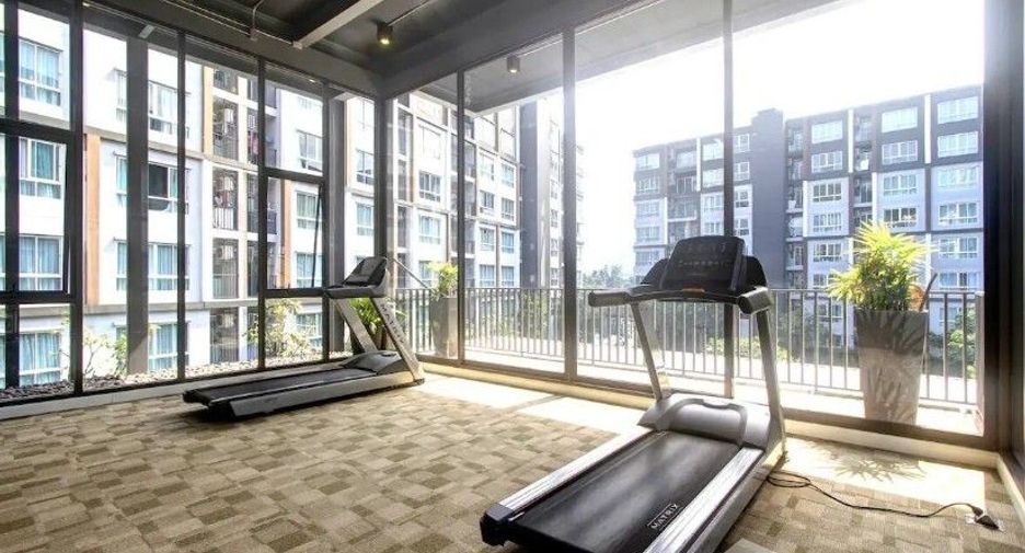 For rent 1 Beds condo in Kathu, Phuket