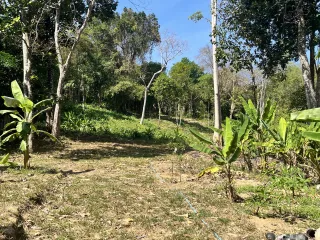 出售 土地 在 Phuket Town, 普吉