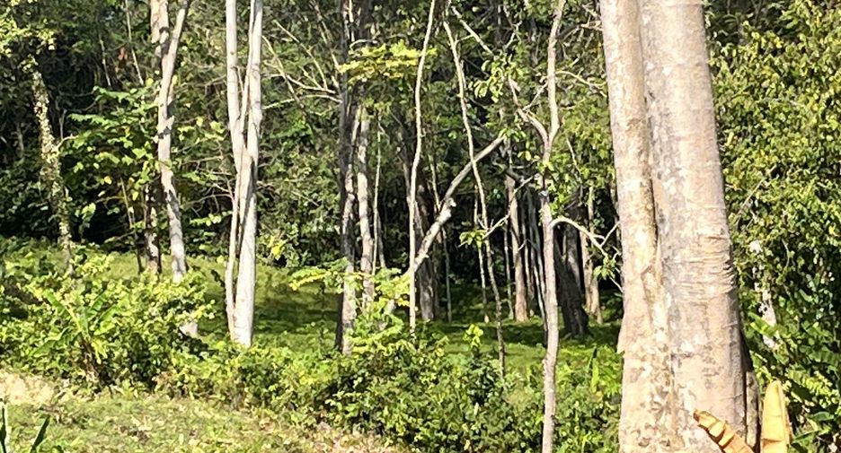 出售 土地 在 Phuket Town, 普吉