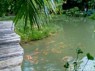 For sale land in Mueang Krabi, Krabi