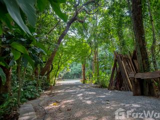 For sale land in Mueang Krabi, Krabi