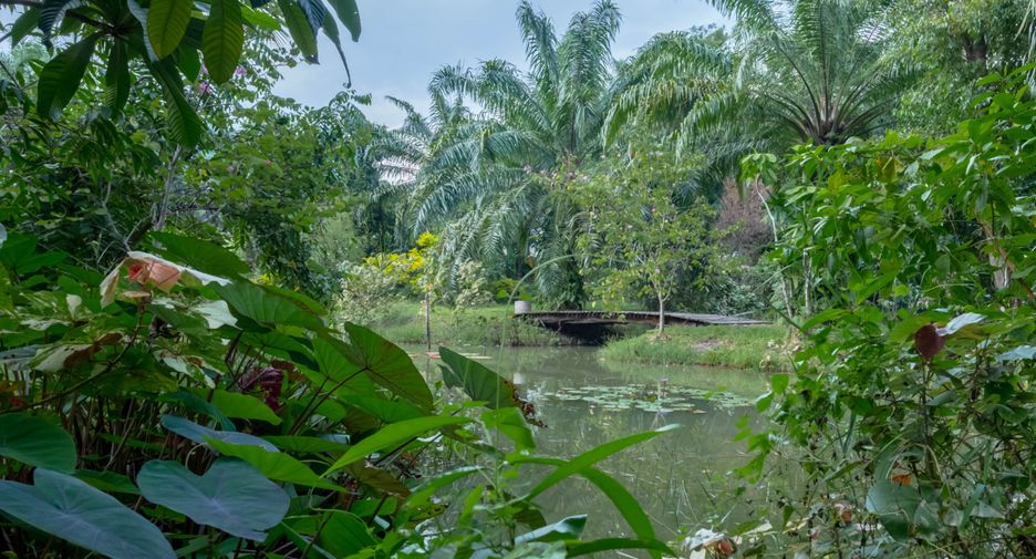 Grundstück zum Kauf in Mueang Krabi, Krabi