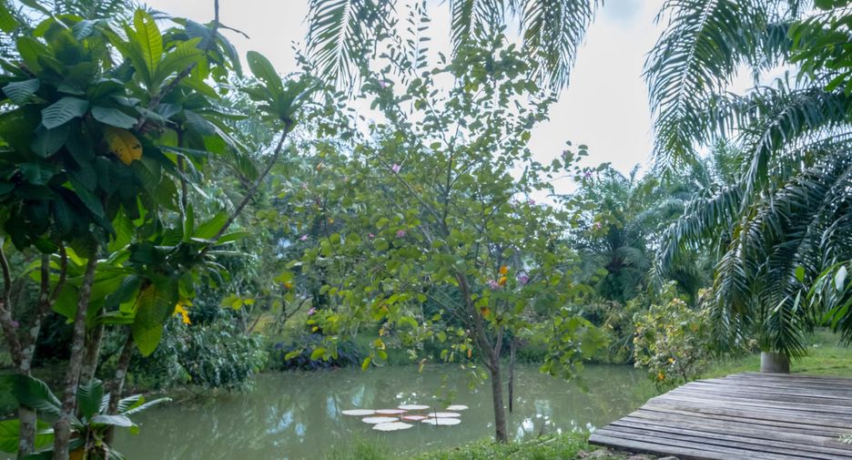 Grundstück zum Kauf in Mueang Krabi, Krabi