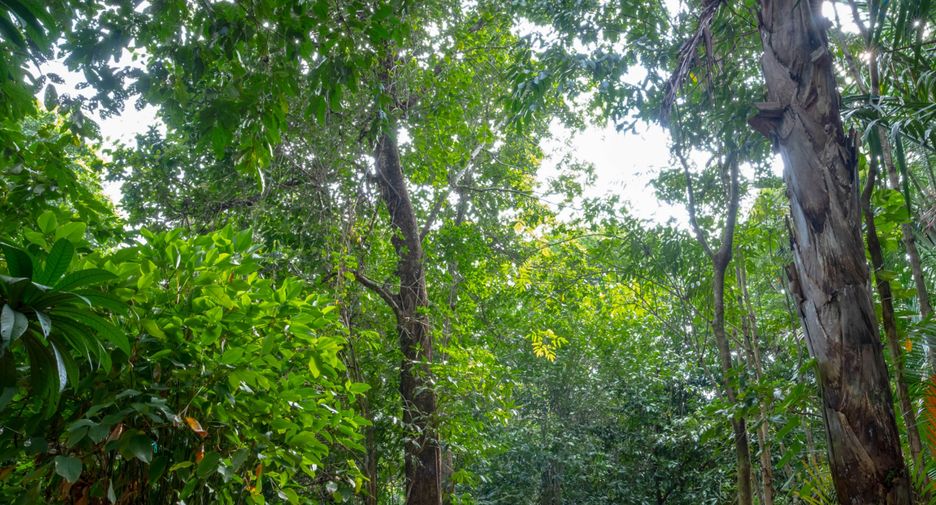 Grundstück zum Kauf in Mueang Krabi, Krabi