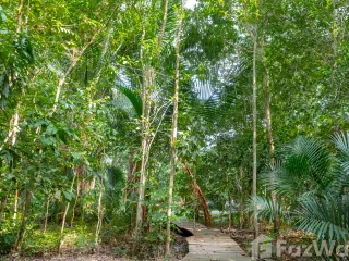 For sale land in Mueang Krabi, Krabi