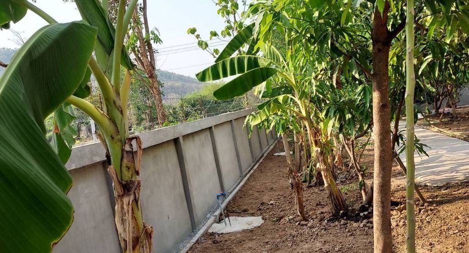For sale 3 bedrooms house in Phu Wiang, Khon Kaen